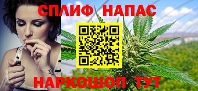 СК Славянск-на-Кубани