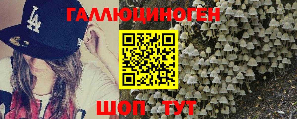 Сердобск  Галлюциногенные грибы мухоморы  Вход с VPN  Псилоцибиновые грибы мухоморы 